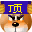 pw_bear_42damn